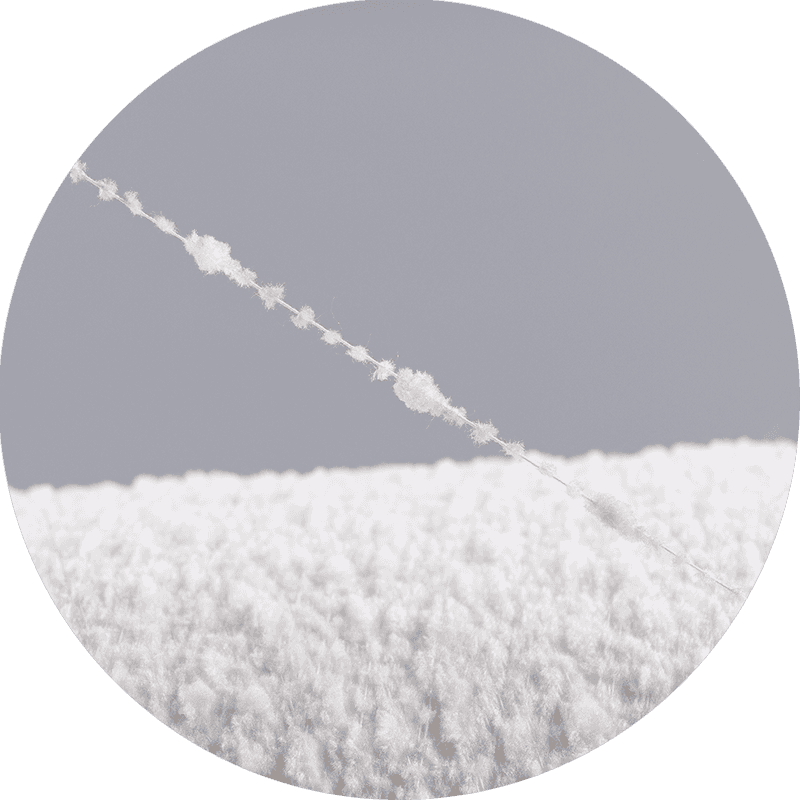 Przędza chryzantemowa